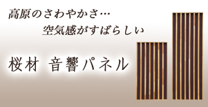 ���� �����p�l��