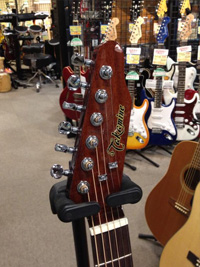 TAKAMINE DMP500-6 BL